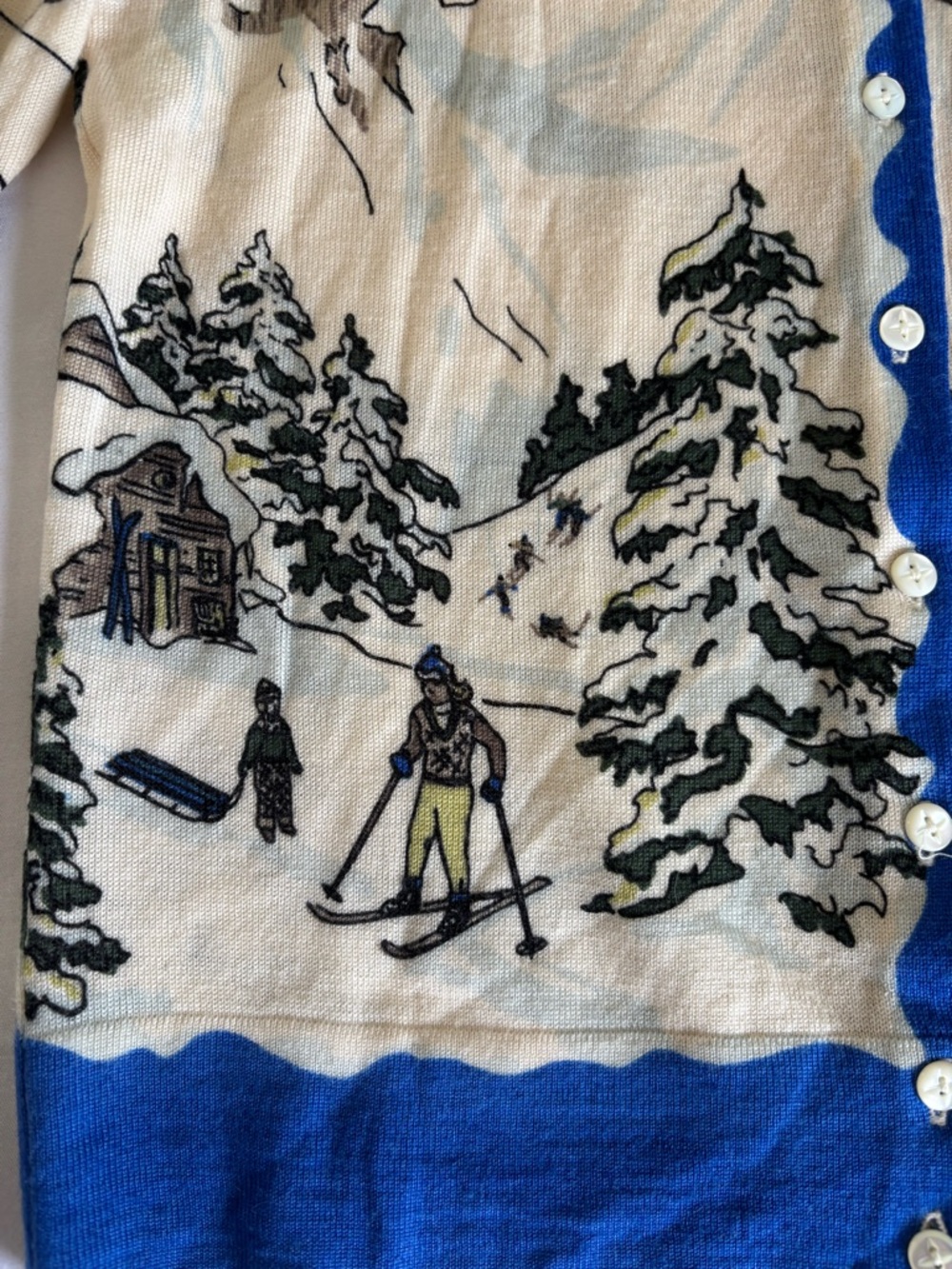 Rare Collectable J.Crew Vintage Ski Scene Sweater Merino Wool Size Small - Picture 8 of 12